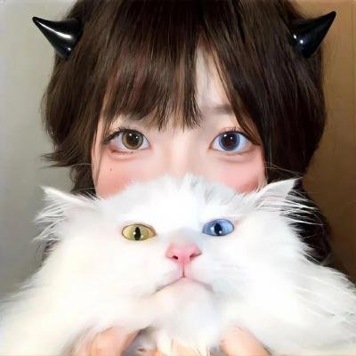 北方人